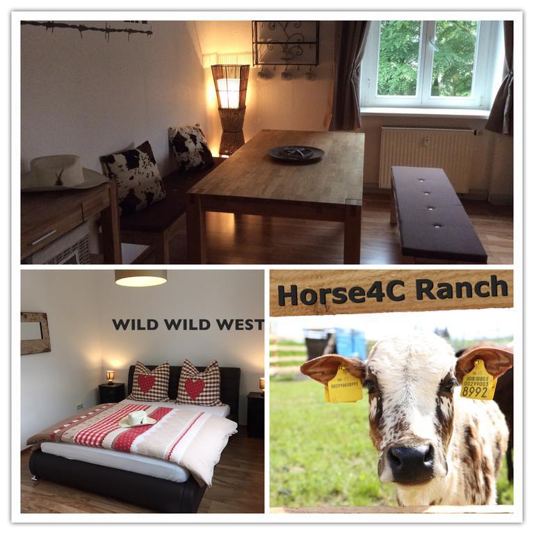 4C Horse Ranch Hainichen Ngoại thất bức ảnh